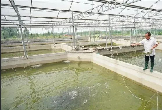 水產養殖增氧曝氣，就用歐冠《高速離心鼓風機》。